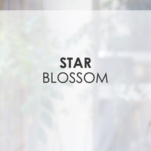 나무자전거 컬러안개시트[sp] star blossom, 나무자전거