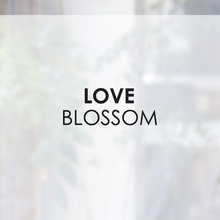 나무자전거 컬러안개시트[sp] love blossom, 나무자전거